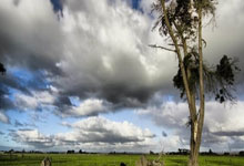 28国际官网：每体：弗里克征召巴萨梯队18岁门将邦菲尔随一线队训练.