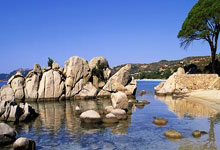 28国际官网：拜仁3-2圣保利全场数据：射门19-10，射正9-4，控球率66%-34%.